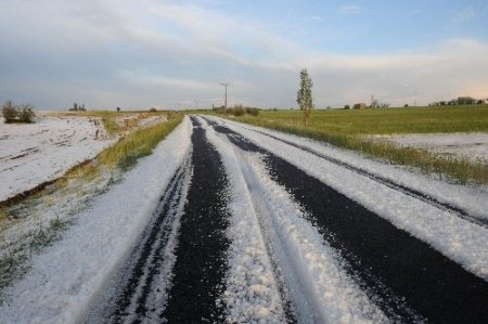 Dolu yağışı, tarım arazilerine büyük zarar verdi