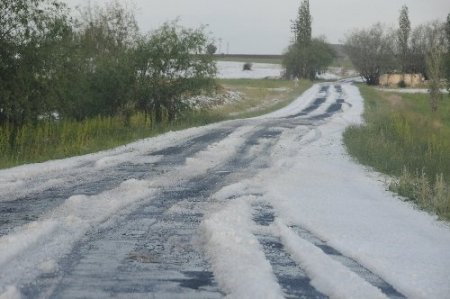 Dolu yağışı, tarım arazilerine büyük zarar verdi