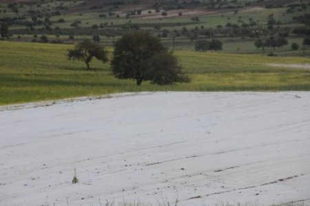 Dolu yağışı, tarım arazilerine büyük zarar verdi