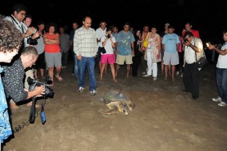 Dolunaya Uydu Takip Cihazı