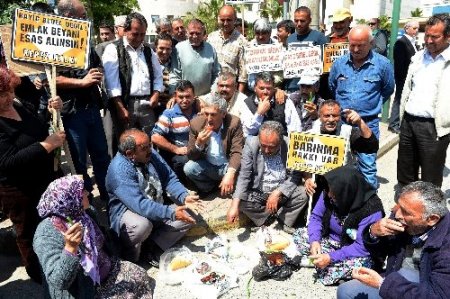 Domates, taze soğan ve peynirli 2B eylemi