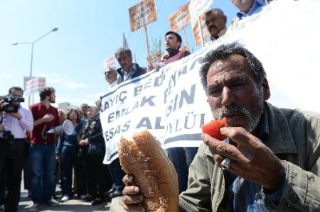 Domates, taze soğan ve peynirli 2B eylemi