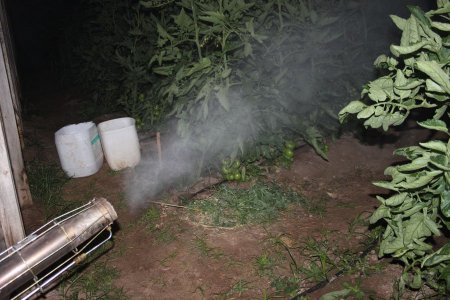 Domates üreticisi ilaçların maliyetini düşürdü