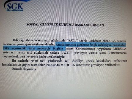 Domuz Gribi Doktorlara 4 Branşta 'ek Mesai' Getirdi