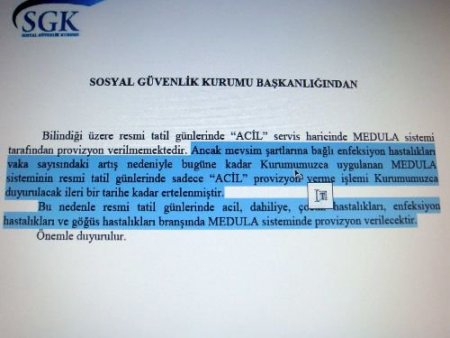 Domuz Gribi Doktorlara 4 Branşta 'ek Mesai' Getirdi