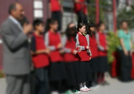 Domuz Gribinden Ölen Bütül, Sbs'de Tüm Soruları Doğru Cevaplamış