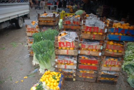 Don Olayı Yaşanmayınca Sebze Fiyatları Yükselmedi