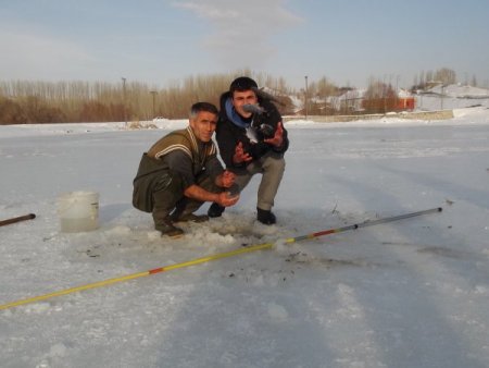 Donan Nazik Gölü'nde zorlu balık avı