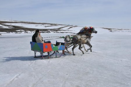 Donmuş Göl Üstünde Atlı Kızak Rallisi