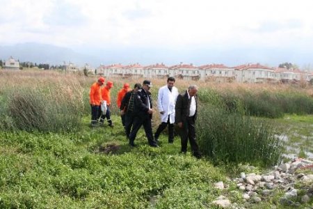 Dörtyol Belediyesi Sivrisinekle Mücadeleye Başladı