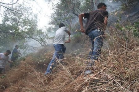 Dörtyol'da 10 Ayrı Noktada Yangın Çıktı
