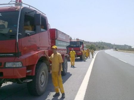 Dörtyol'da 2 Hektar Kızılçam Ormanı Yandı