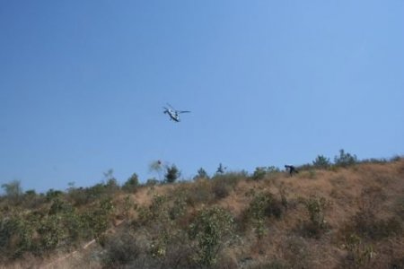Dörtyol'da Otoban Kenarında 3 Ayrı Noktada Yangın Çıktı