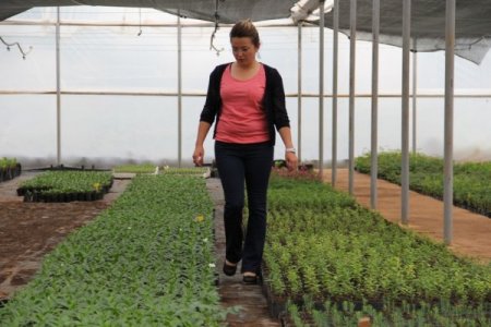 Döşemealtı Belediyesi Serasında Ürettiği Süs Bitkilerini Toprakla Buluşturuyor