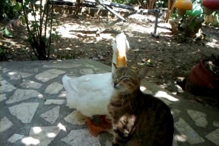 Dostluğun Böylesi!