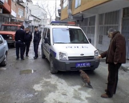 Dövüştürülen Horozlar, Yaralı Halde Sokağa Terk Edildi