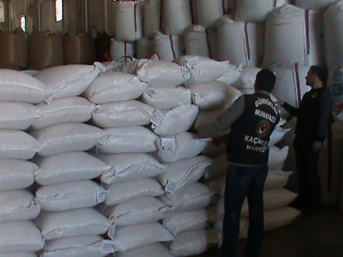 dsc00234.jpg dsc00234.jpg