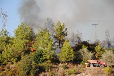 DSP, Antalya'daki orman yangınlarını Meclis gündemine taşıyacak