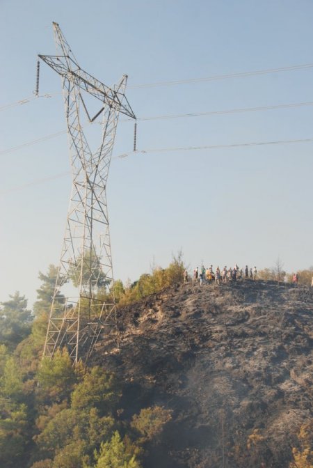 DSP, Antalya'daki orman yangınlarını Meclis gündemine taşıyacak