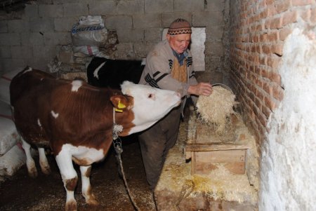 DSP'li Çakmak: Bulgaristan'tan saman ithal eder hale gelmemiz üzüntü verici