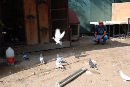 DSP'li Çakmak: Ecevit'i Karaoğlan yapan darbelere karşı dik duruşudur