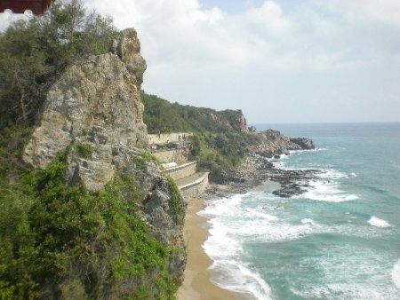 Duman isimli fok, denizden çıkarılarak morga götürüldü (Özel)