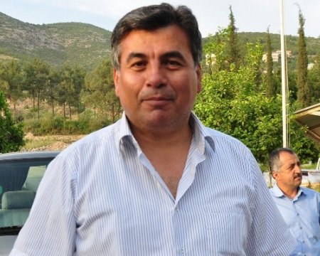 Duman isimli fokun, darp sonucu öldüğü ortaya çıktı