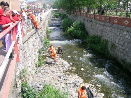 Dünya Çevre Günü, Niksar'da Mıntıka Temizliğiyle Kutlandı