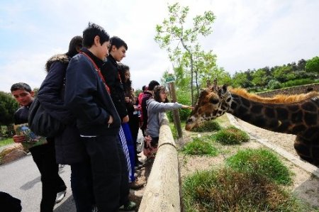 Dünya çocukları Doğal Yaşam Parkı'nda buluştu