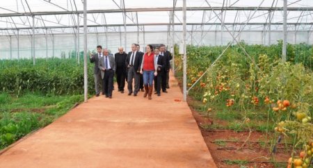 "Dünya Devi Firmalar Teknokentlerden Çıkıyor"