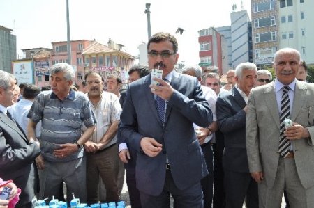 Dünya Süt Günü'nde Balıkesir'de 3 ton süt dağıtıldı