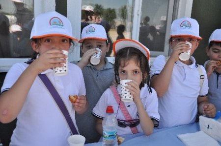 Dünya Süt Günü'nde öğrenciler süt sağdı