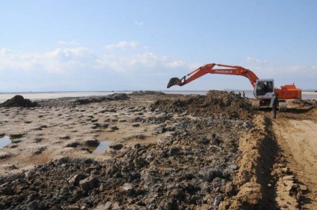 Dünyanın En Büyük Üçüncü Flamingo Adası İzmir'de Kuruluyor