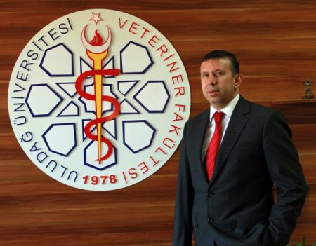 Dünyanın ilk klon inekleri anne oldu