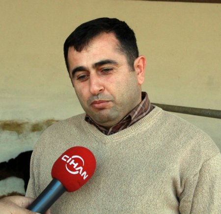 Dünyanın ilk klon inekleri anne oldu