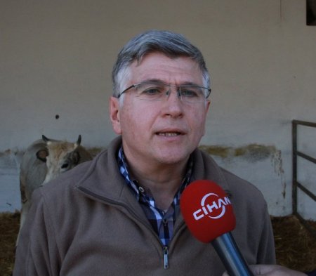 Dünyanın ilk klon inekleri anne oldu