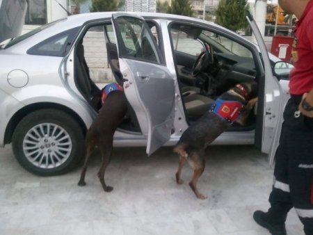 Durdurulan Otomobilde 5 Bin Adet Uyuşturucu Hap Bulundu