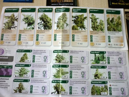 Dürümcüde Kokain Servisi