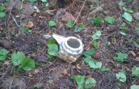 Düşen F-16 savaş uçağı ile ilgili detaylar ortaya çıkmaya başladı