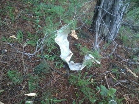 Düşen F-16 savaş uçağı ile ilgili detaylar ortaya çıkmaya başladı