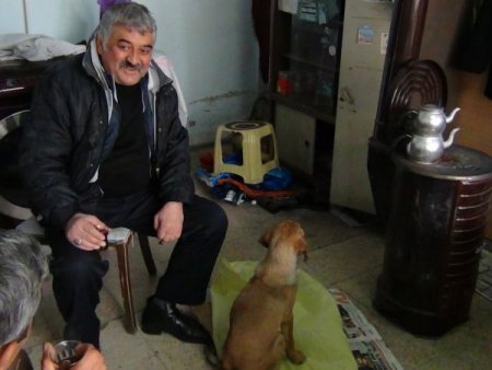 Duyarlı esnaf, donmak üzere bulduğu köpeği kurtardı