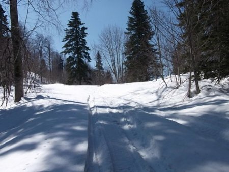 Düzce Kardüz Yaylası Kış Turizmine Kazandırılacak