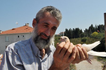 Düzceli vatandaş, 23 yıldır güvercinlere gözü gibi bakıyor