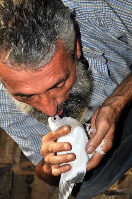 Düzceli vatandaş, 23 yıldır güvercinlere gözü gibi bakıyor