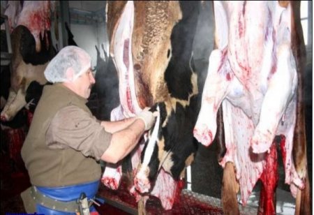 EBK, Suluova'da et kesimine başladı