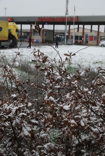 Edirne'de Kar Yağışı Başladı