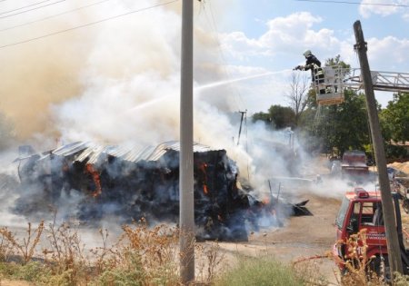 Edirne'de Samanlık Yangını: 50'ye Yakın Kuzu Telef Oldu
