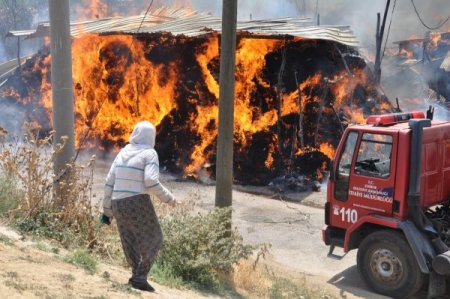 Edirne'de Samanlık Yangını: 50'ye Yakın Kuzu Telef Oldu