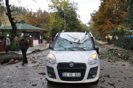 Edirne'de Seyir Halindeki Aracın Üstüne Ağaç Düştü: 2 Yaralı