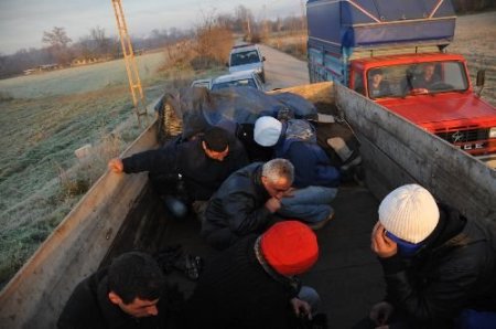Edirne'de Traktör Römorkunda 23 Filistinli Kaçak Yakalandı